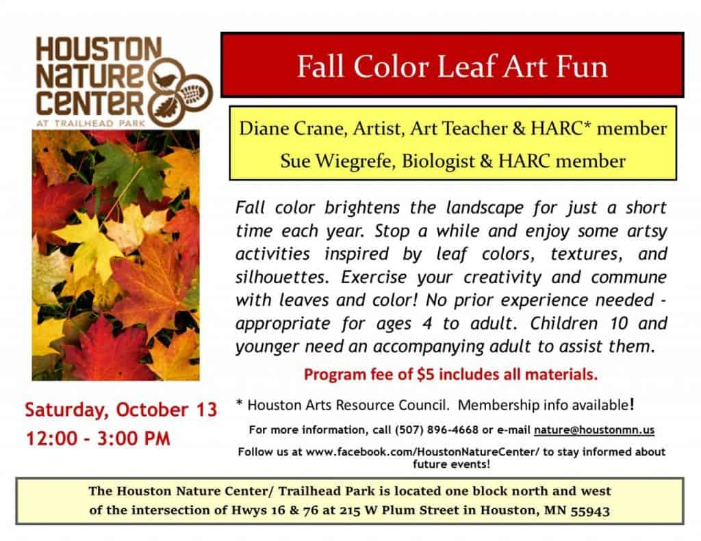 Fall Color Leaf Art Activities!